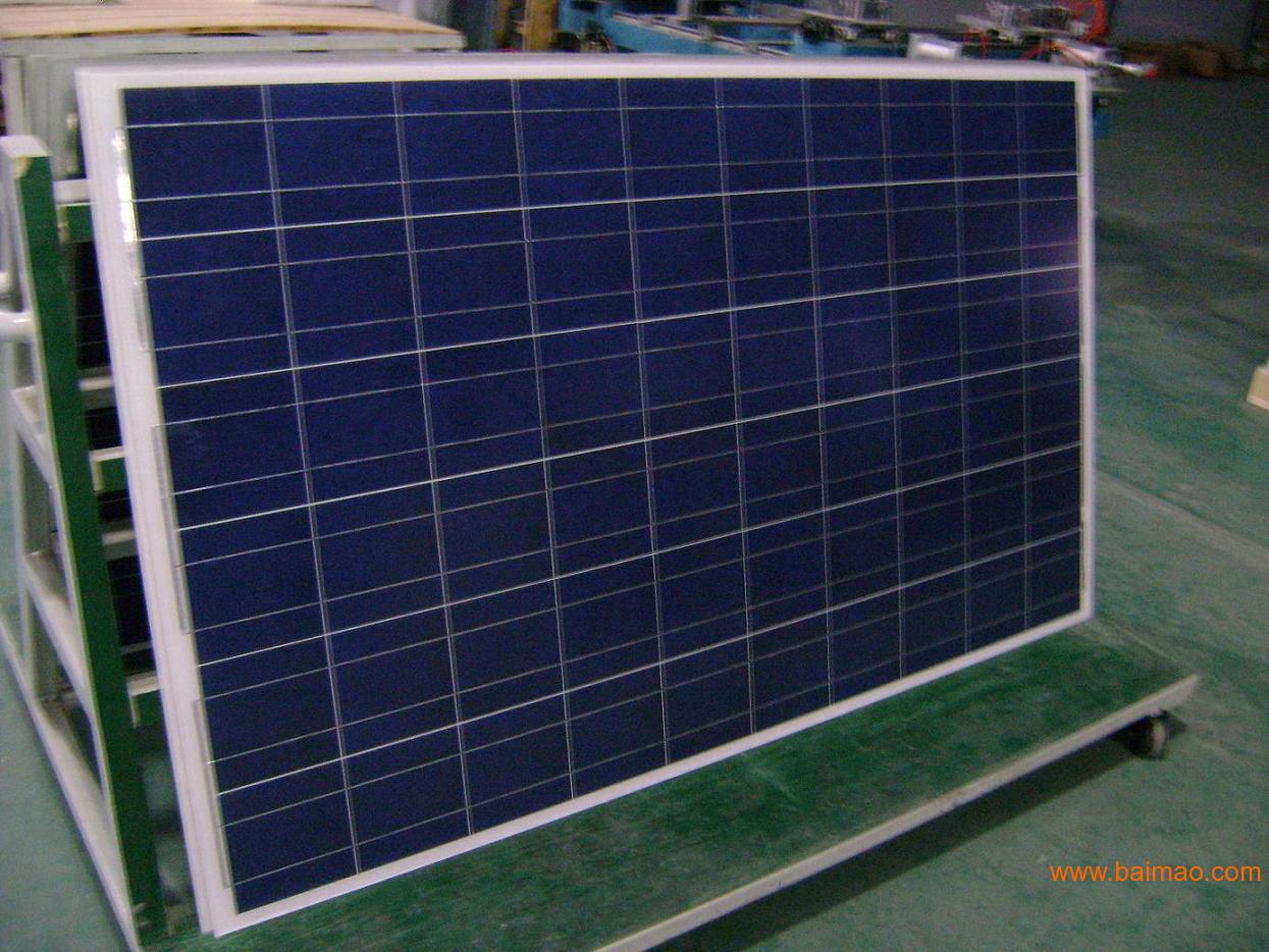 beat·365_宝华洲社区:金秋九月主题党日(图3) beat·365