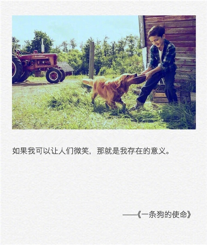 beat·365-2014年美国木材出口量增长13%(图1) beat·365