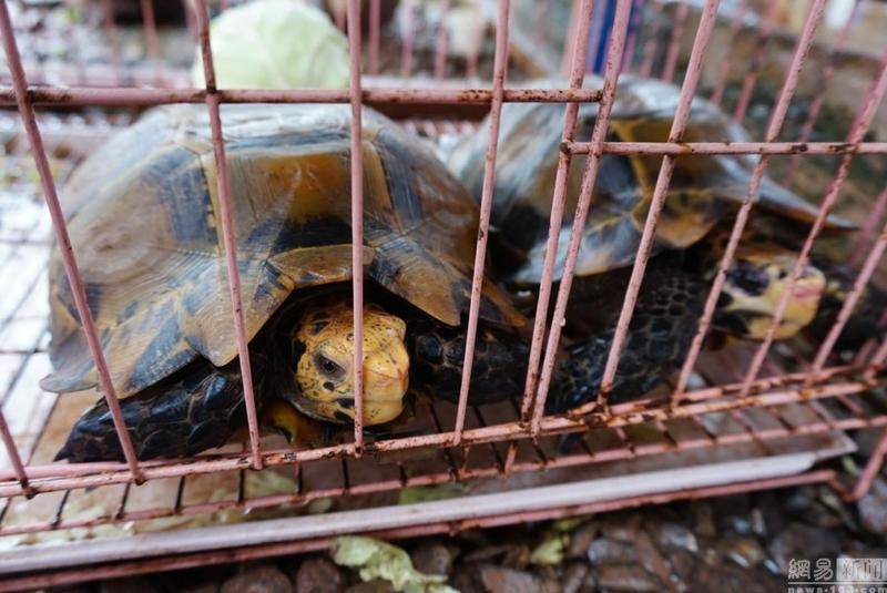 【beat365官网】木门品牌哪家好?知名木门厂家说说木门的事(图3) beat365官网