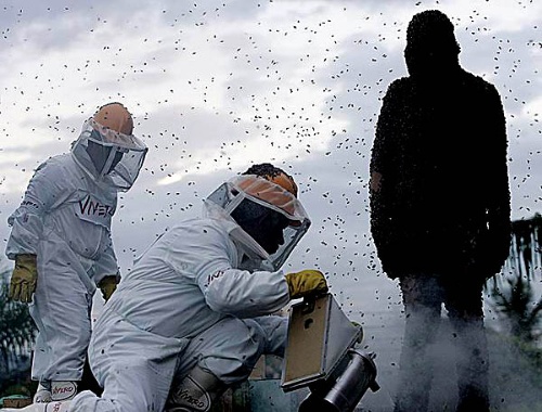 【beat·365】
11月7日来万宝购家电 抽电暖器!(图4) beat365官网