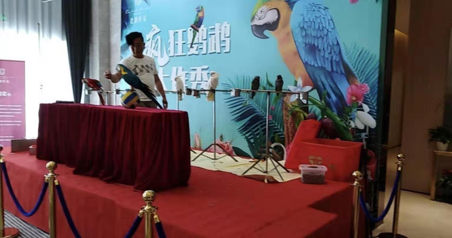 湖北宜昌获2016年度“世界可持续交通奖”‘beat·365’(图1) beat365亚洲体育官方网站