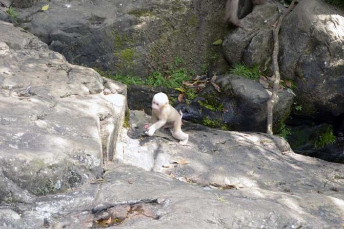 八一男篮退赛已成定局 若需要补位的话 哪支球队的希望最大?“beat·365”(图6) beat365官网